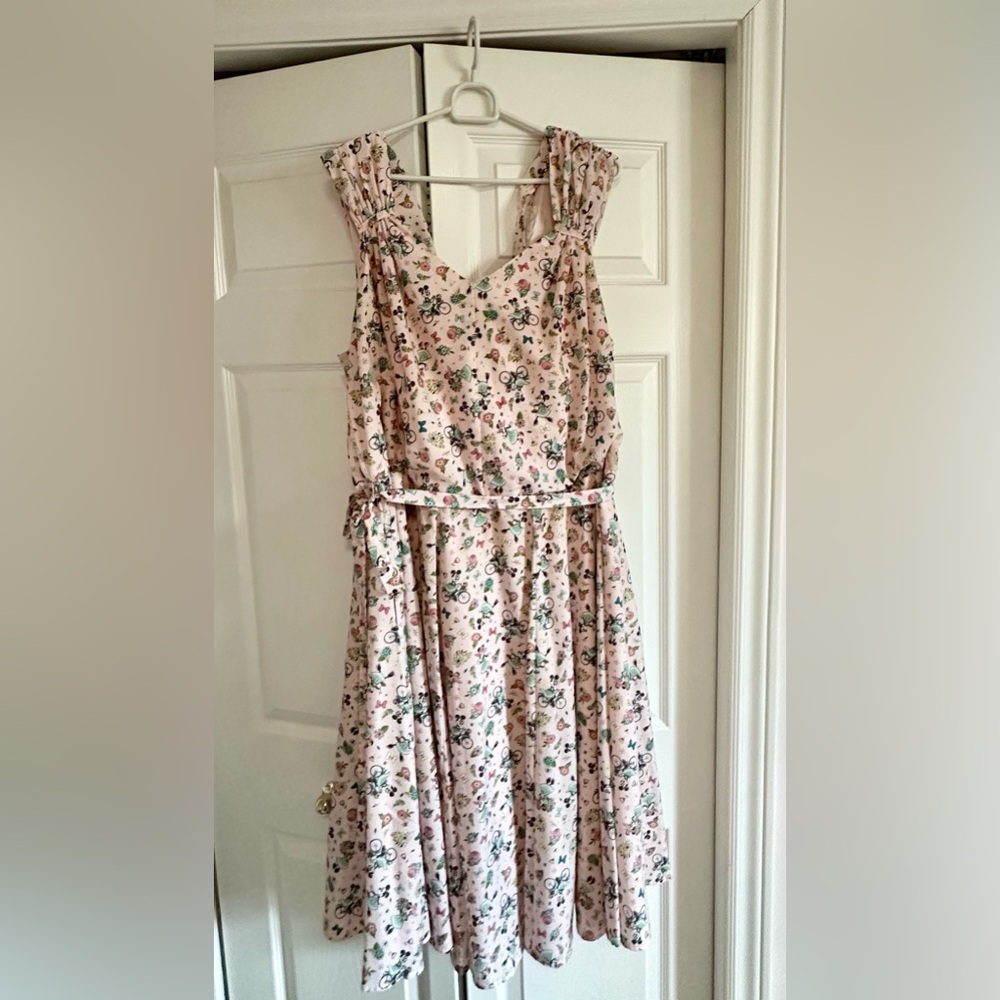 NWOT Disney Dress Shop Flower and Garden Minnie Dress